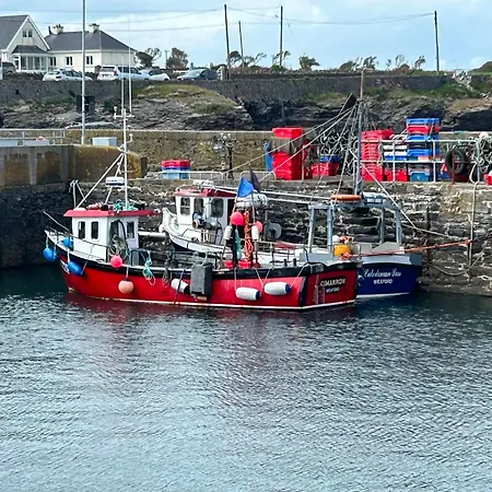 The Burds Nest, Hookless Village, Wexford Casa vacanze Harrylock