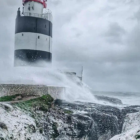 The Burds Nest, Hookless Village, Wexford * Harrylock